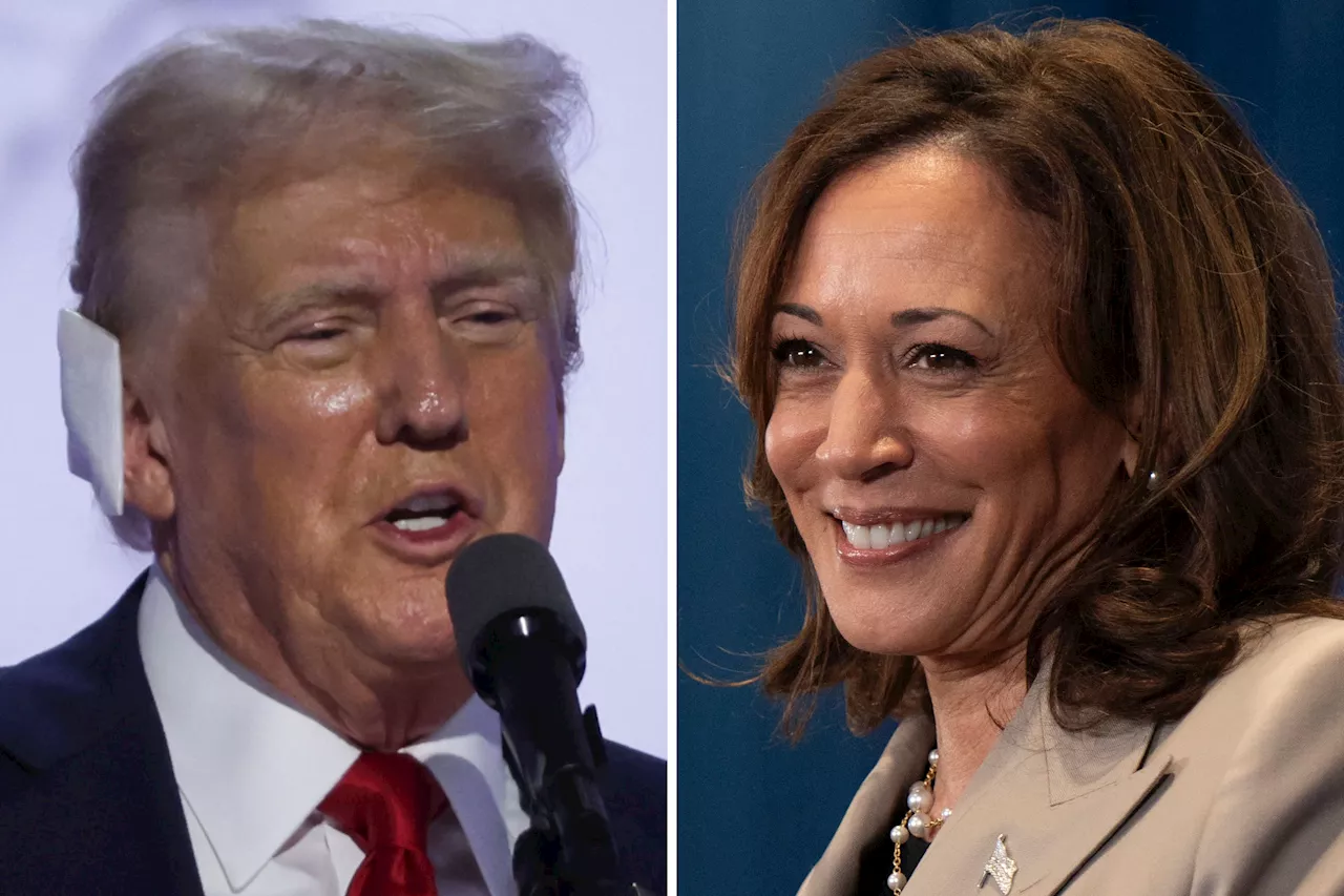 How Kamala Harris' Approval Rating Compares to Donald Trump's