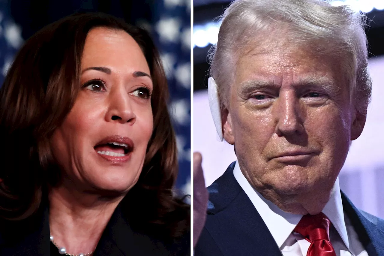 Kamala Harris' Chances vs. Donald Trump, According to Polls