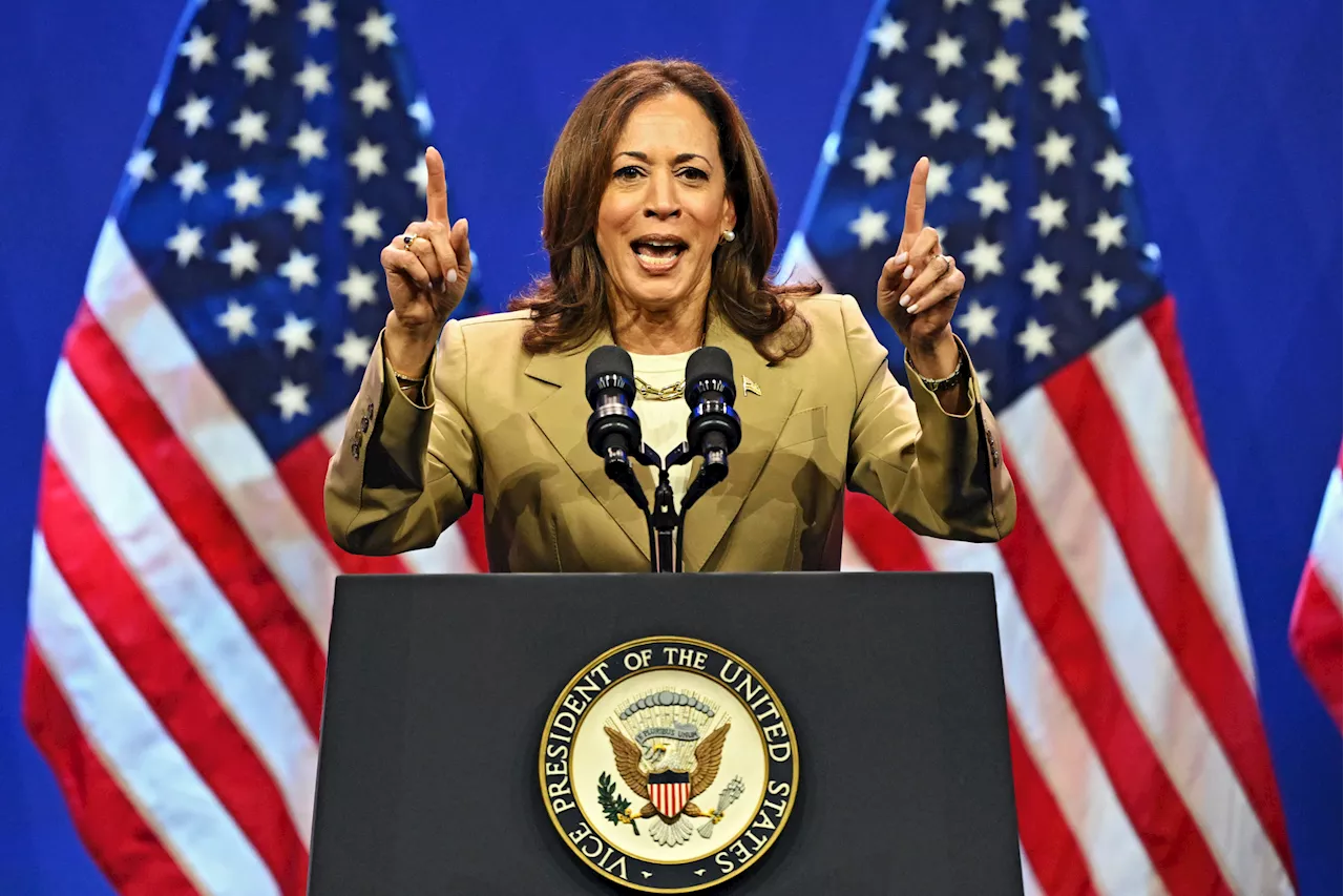 Kamala Harris Gains Support From Democrats