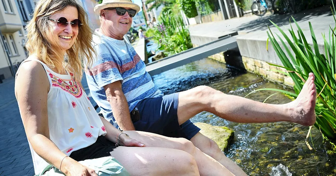 Eklige Fliegenplage auf dem Wochenmarkt am heißesten Tag des Jahres in Bielefeld