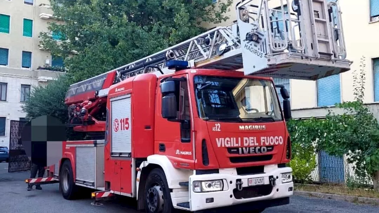 Incendi a Roma, l'allarme dei vigili: "Mancano gli autisti dei mezzi"