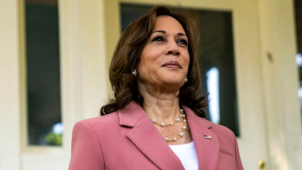 ‘My intention is to earn and win this nomination’: Kamala Harris breaks silence after Biden bombshell