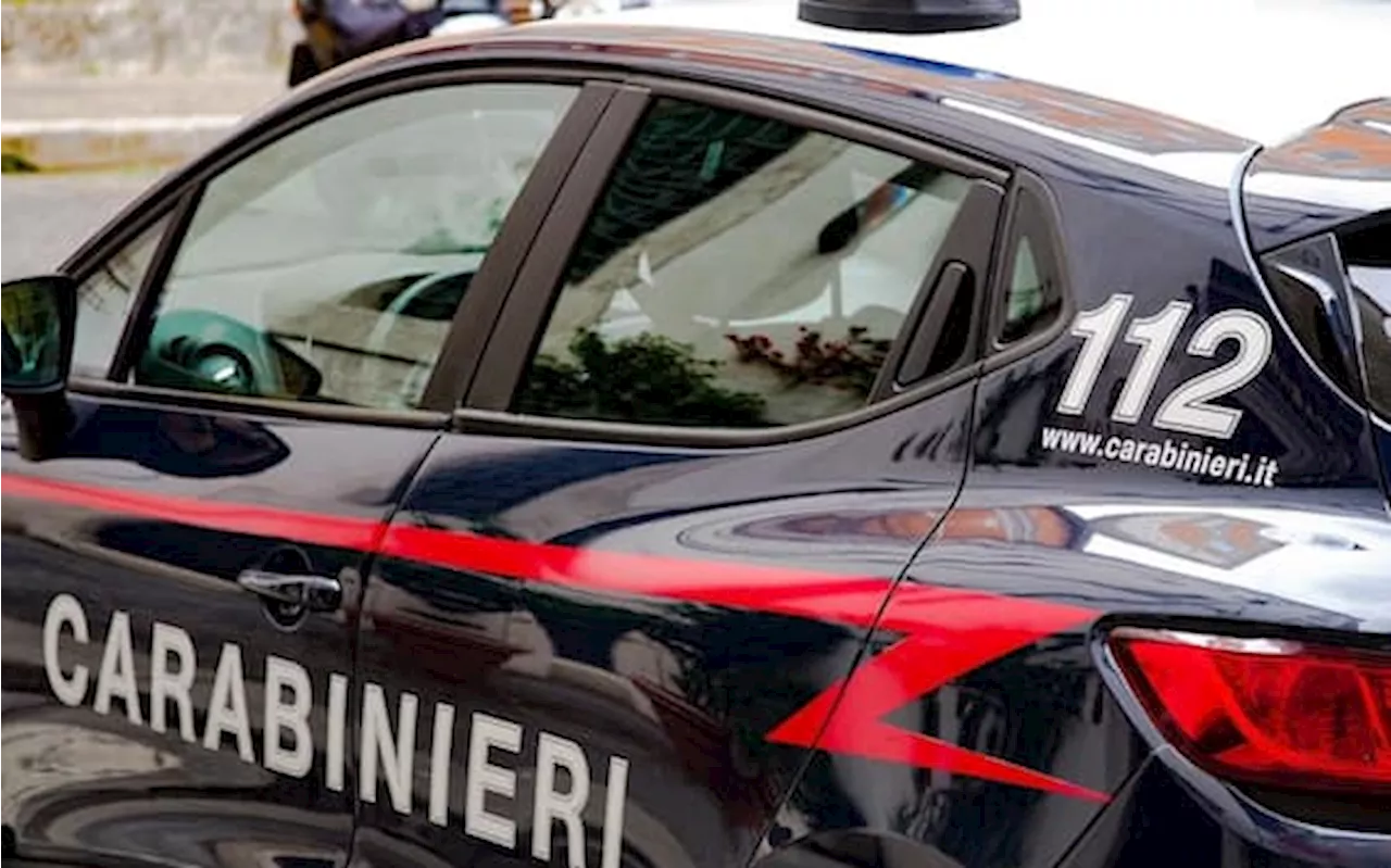 Mantova, violentata mentre rientrava a casa, arrestato 24enne