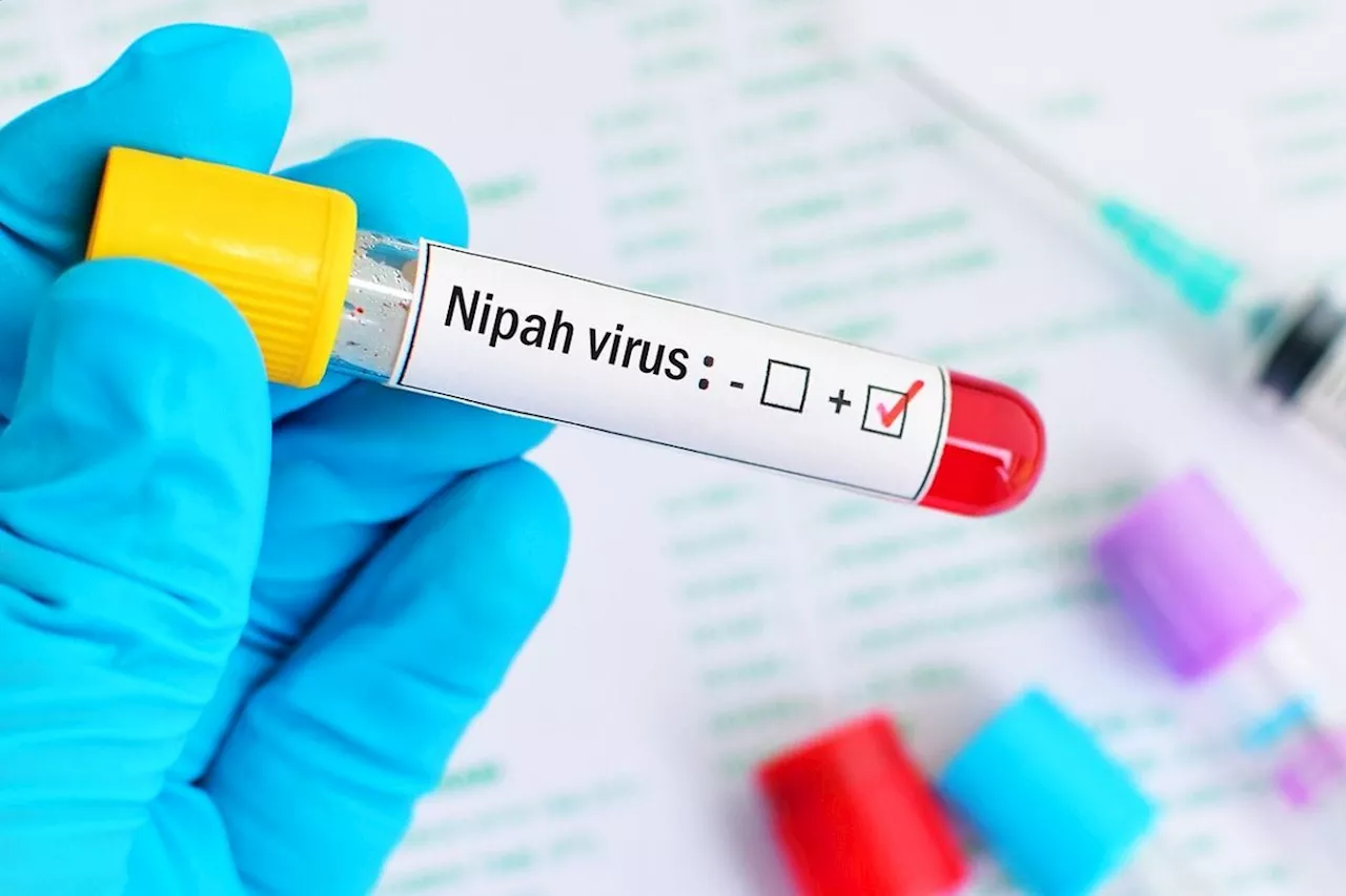 14-year-old tests positive for Nipah in Kerala