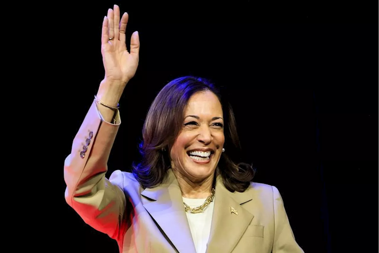 Many Democrats back Harris in 2024 race, but Pelosi and others silent