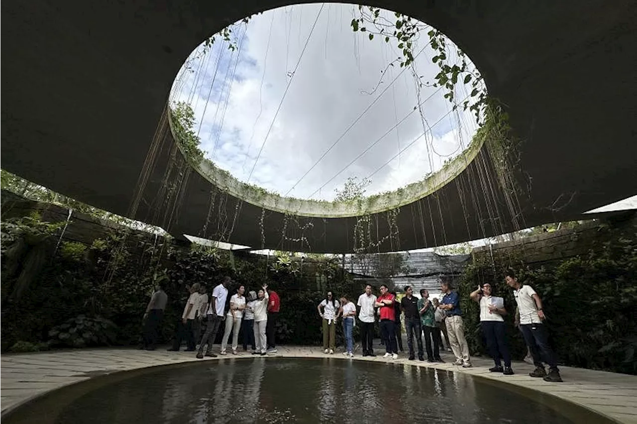 Water lilies, ‘sunken’ garden to greet visitors when Japanese, Chinese Gardens reopen in Sept