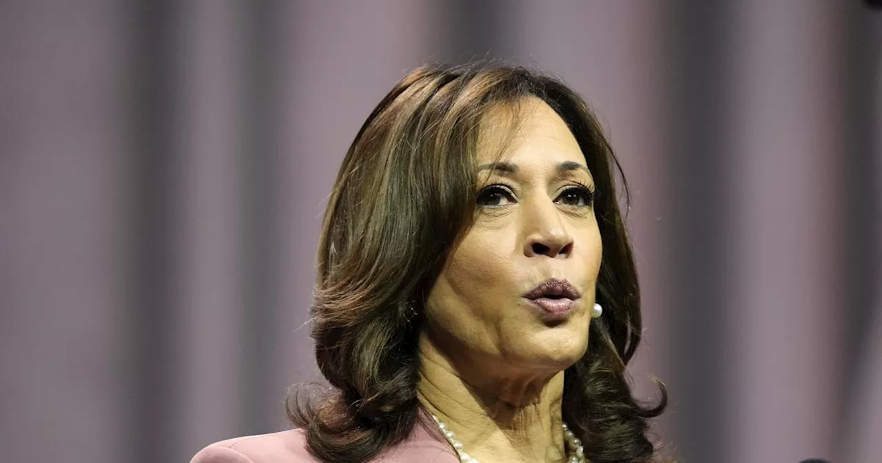 Inte självklart att Kamala Harris ersätter