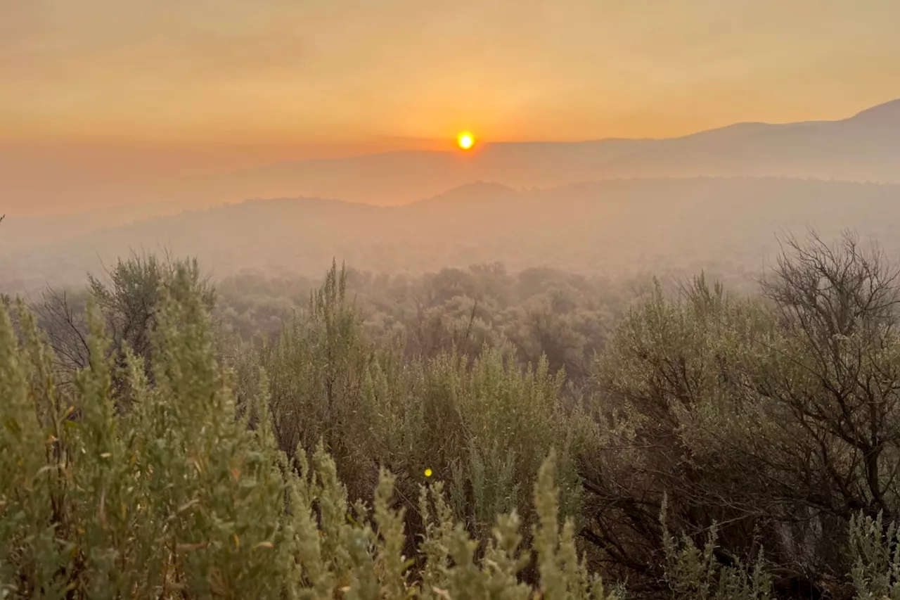 Structure loss to be assessed at Venables Valley in wake of Shetland Creek wildfire