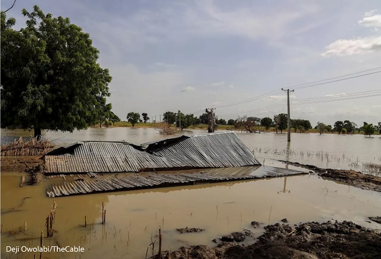 NEMA: 1,664 people displaced by flood in Sokoto communities