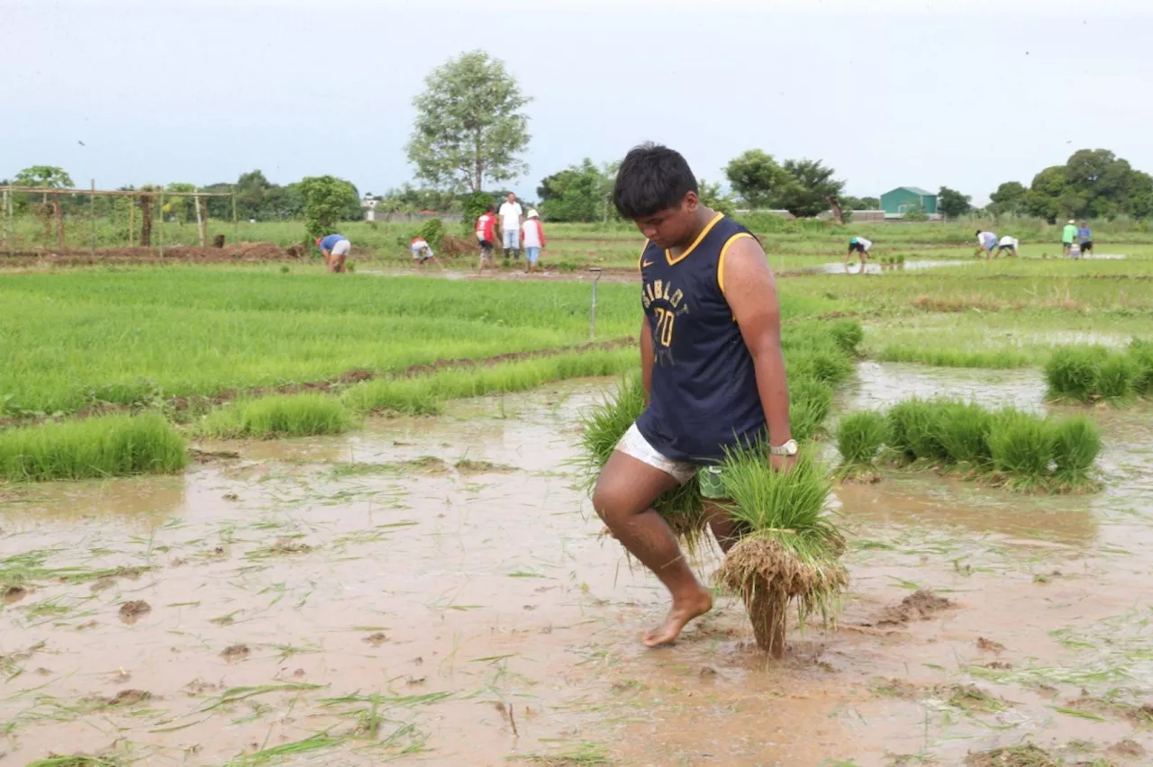 Continued gains seen for agriculture sector