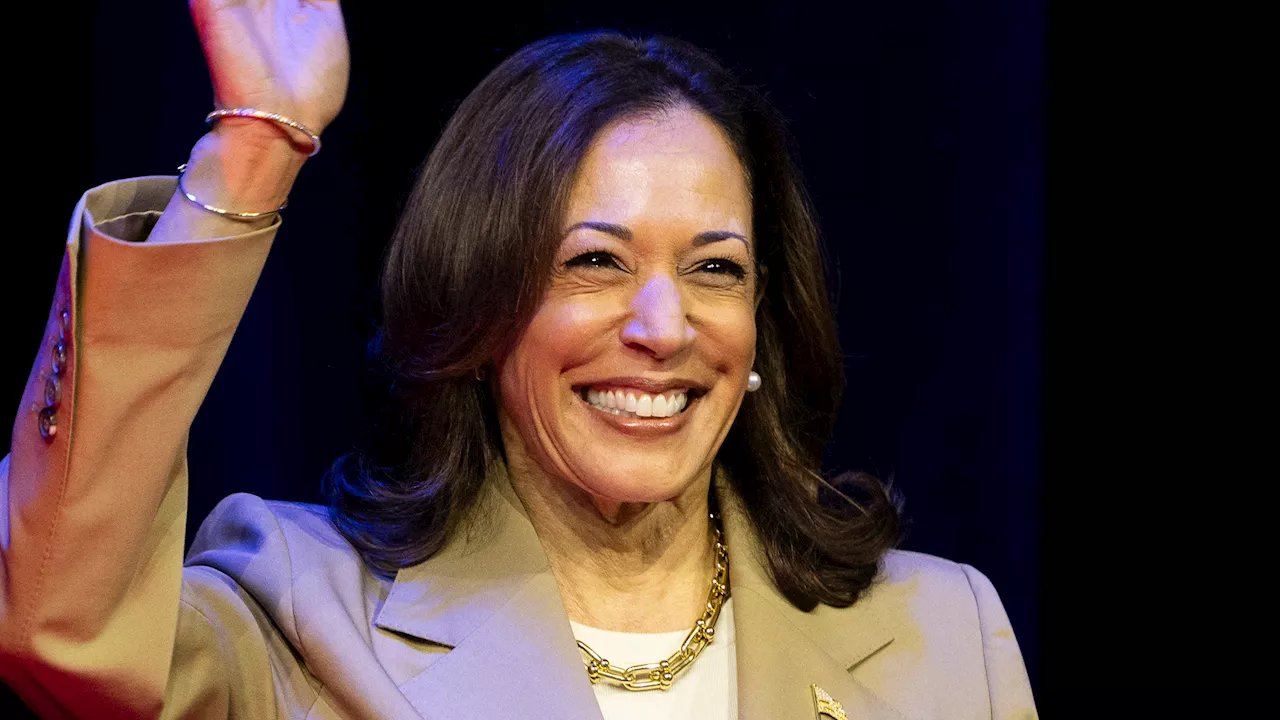 Kamala Harris says she will ‘earn’ nomination after Biden drops out of race and gives his endorsement as De...