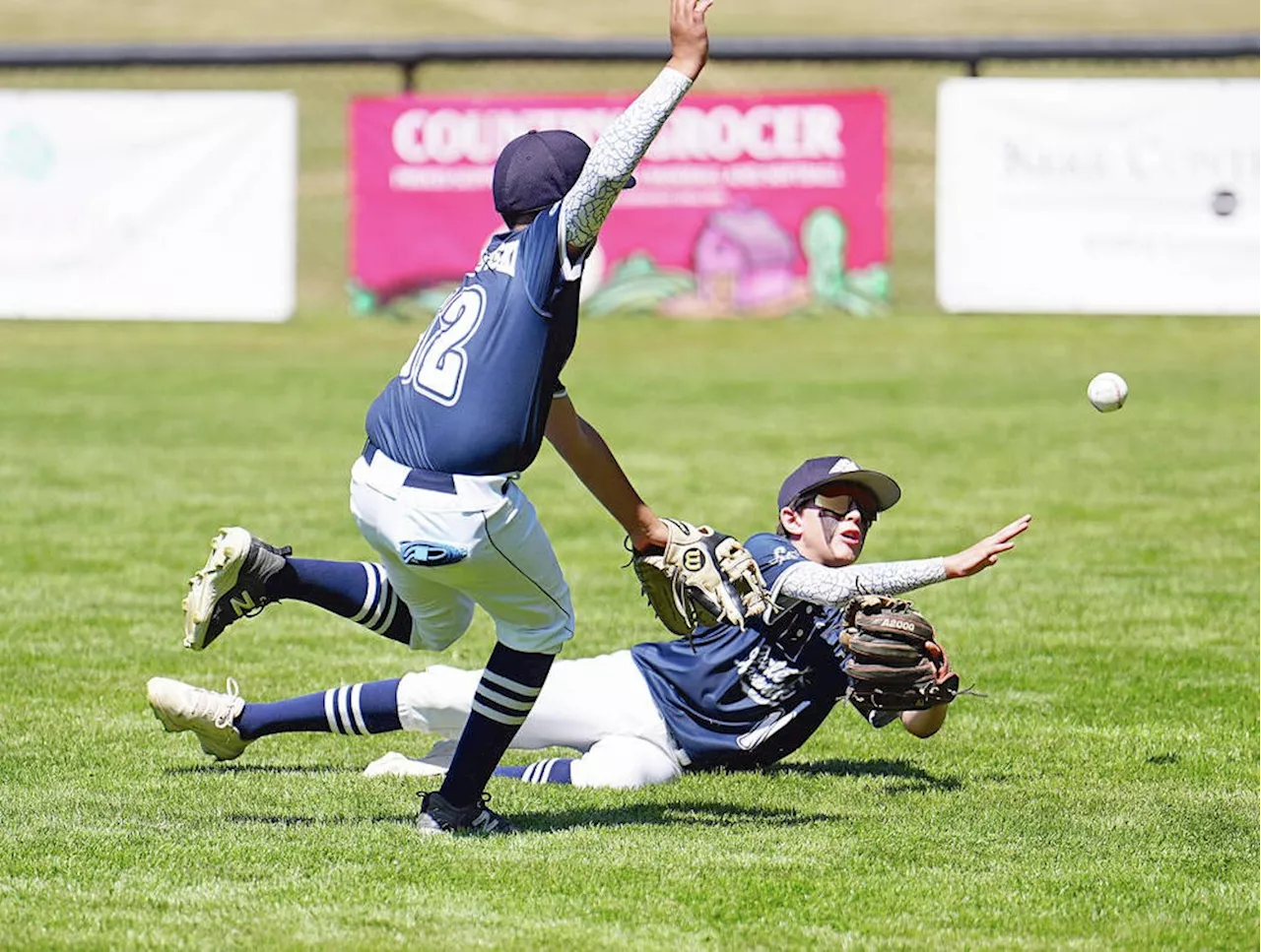 Whalley, Little Mountain set to meet in B.C. Little League final at Lakehill