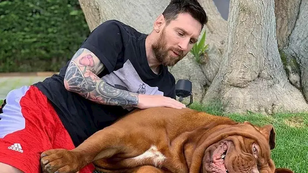 Messi, Cristiano y hasta Neymar comparten un amor en común… el perro