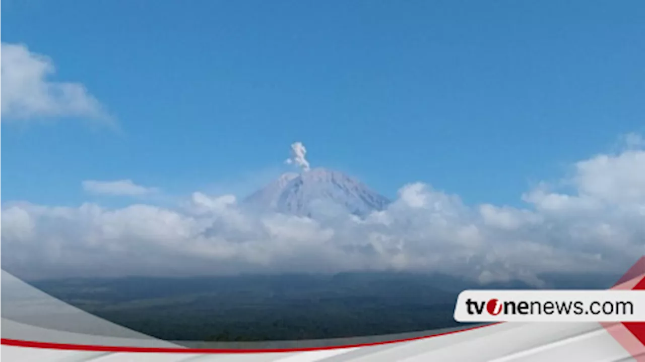 Gunung Semeru Kembali Erupsi, Tinggi Letusan Capai 600 Meter