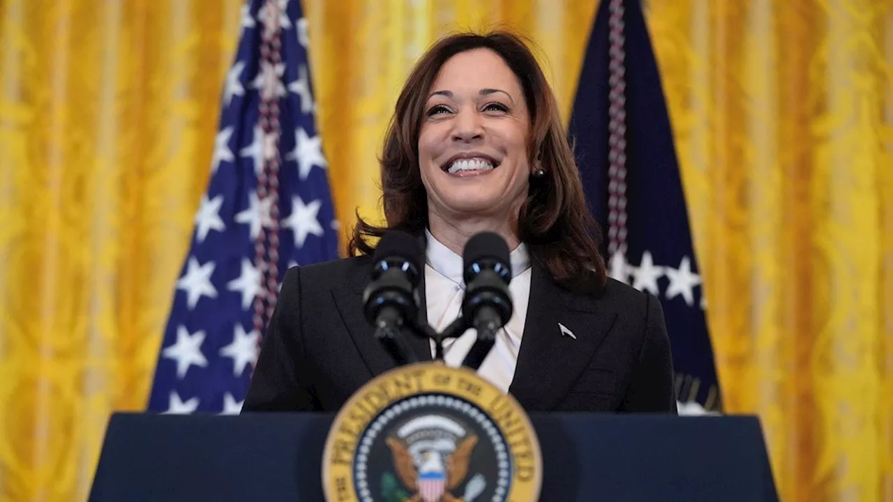 Quién es y cómo piensa Kamala Harris, la preferida de Biden para disputarle la presidencia a Trump