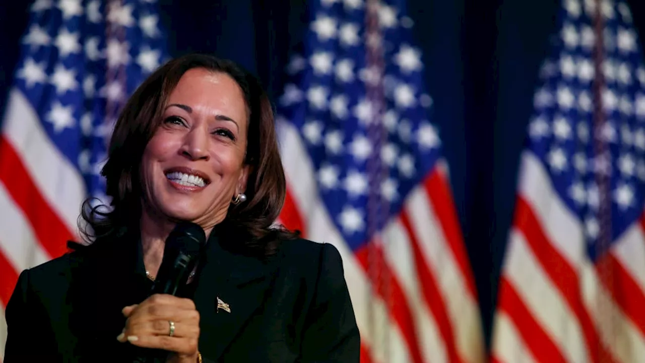 Kamala Harris: tutte le critiche e i successi (mentre Trump prepara l'attacco)