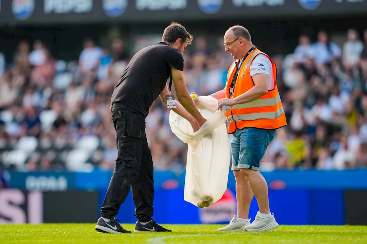 Bekrefter krisemøter etter skandalescenene på Lerkendal: