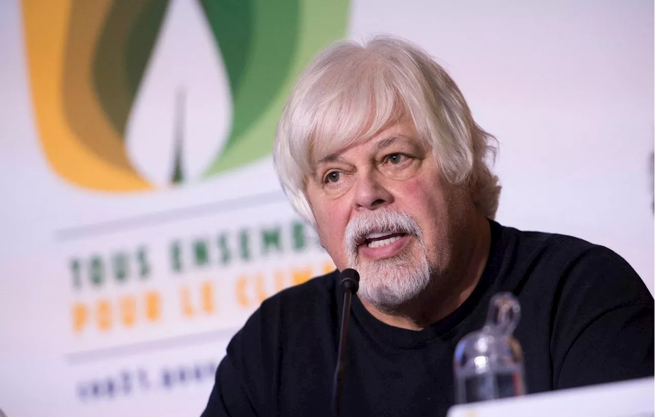 Danemark : Pourquoi Paul Watson, le fondateur de l’ONG Sea Shepherd, a été interpellé ?