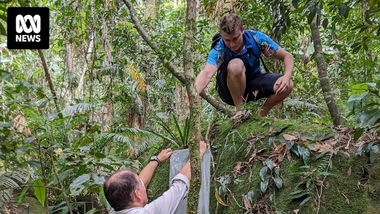 Threatened native plant species the key to unlocking a climate-resilient future, even if not 'cute and cuddly'