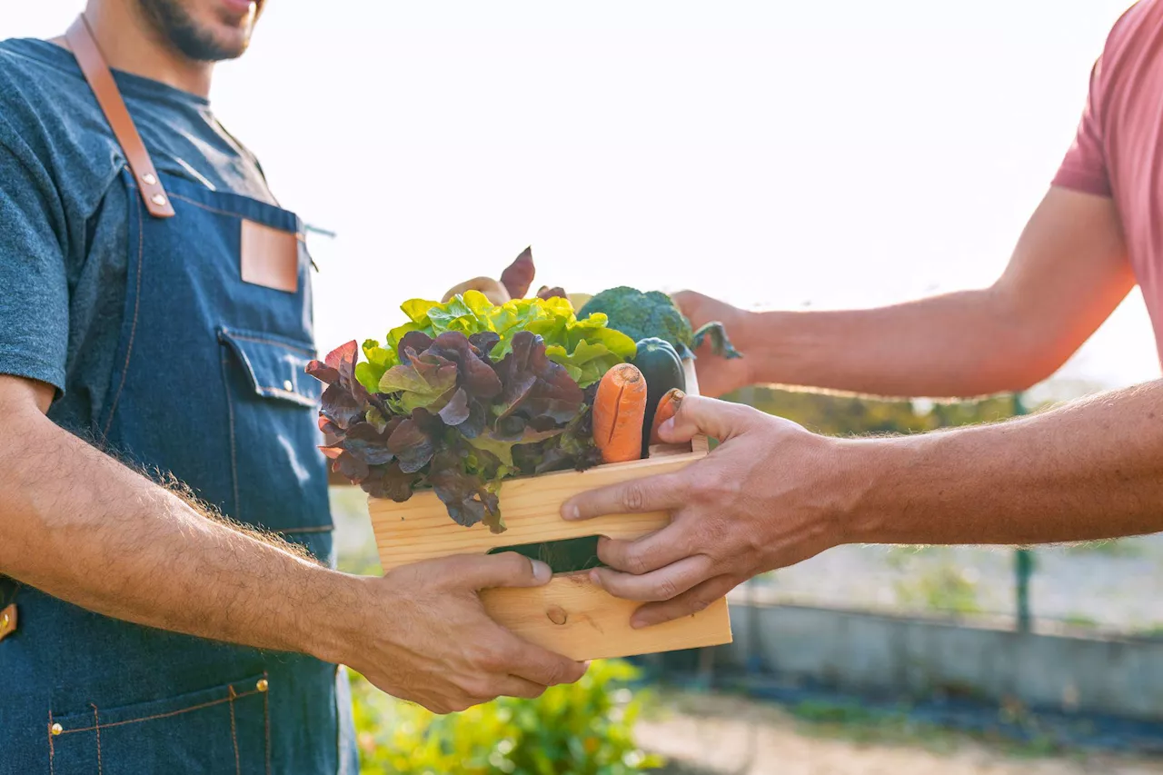 Agricoltura, Gruppo Davines proroga candidature 'The Good Farmer Award 2024'