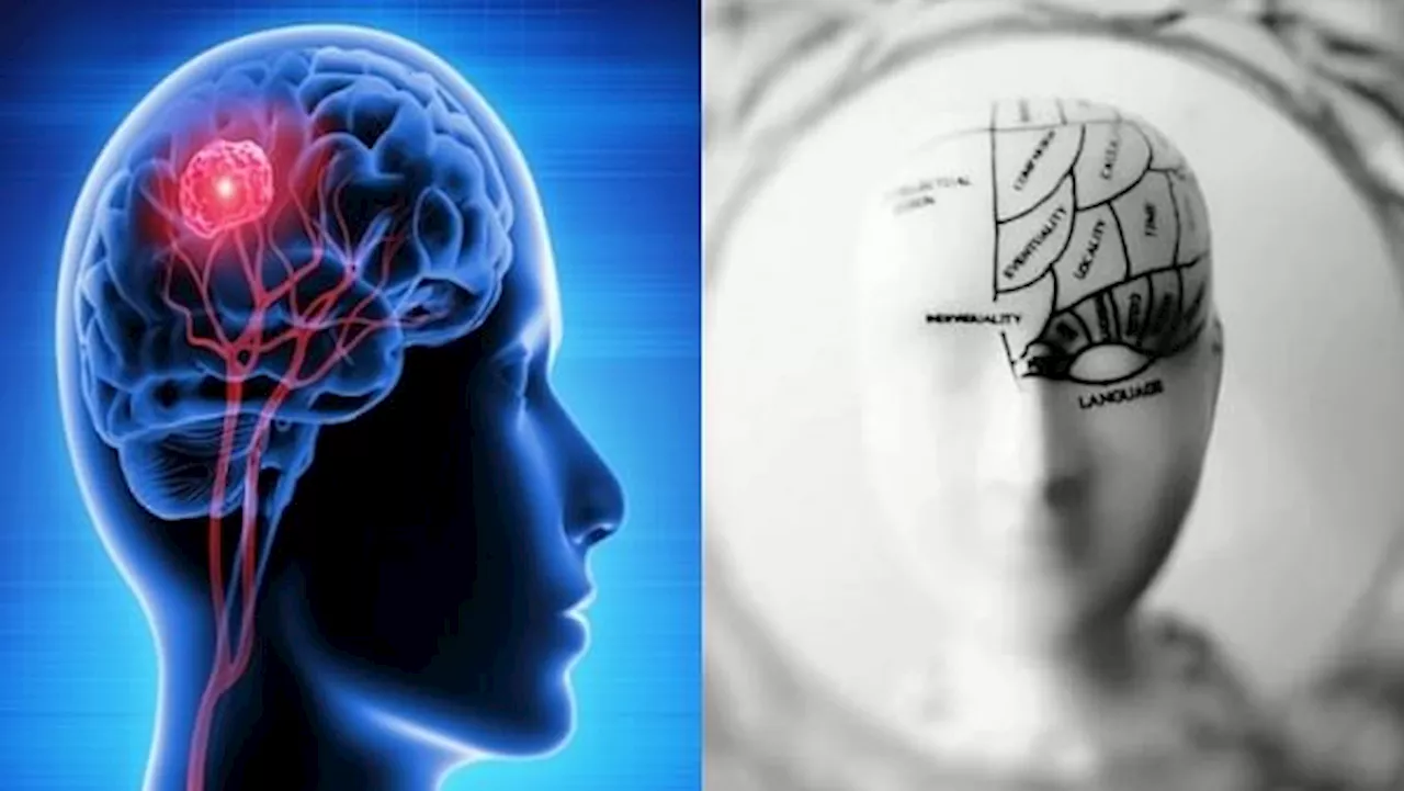 World Brain Day : घर के वातावरण में तेजी से ठीक होता है मरीजों का मस्तिष्क, अपनों का साथ पाकर मिलती है ऊर्जा