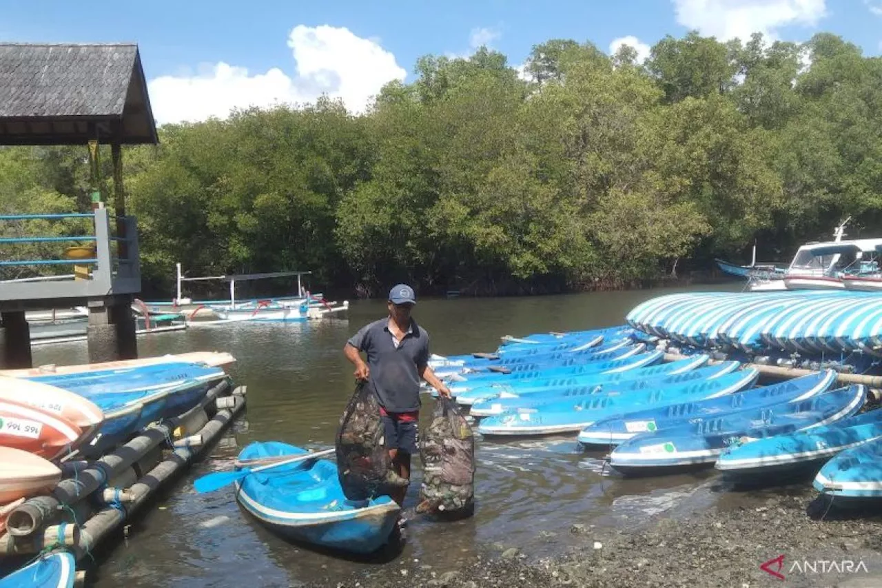 Pemprov Bali gandeng desa adat tanam dan pantau mangrove