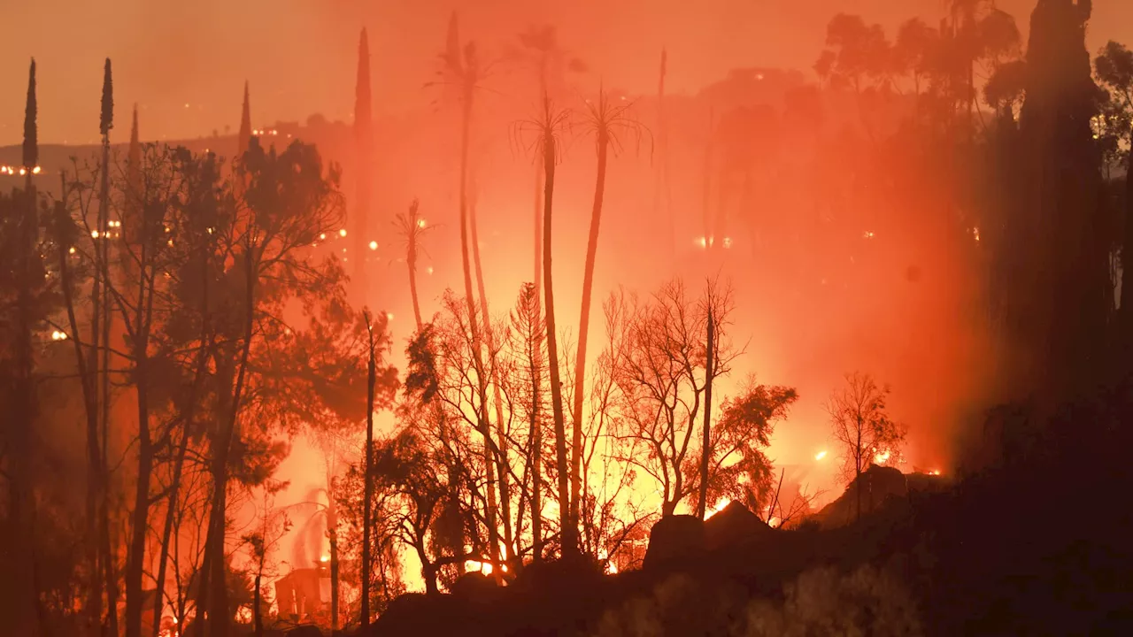 Les incendies se multiplient dans l'ouest des États-Unis, frappé par une vague de chaleur