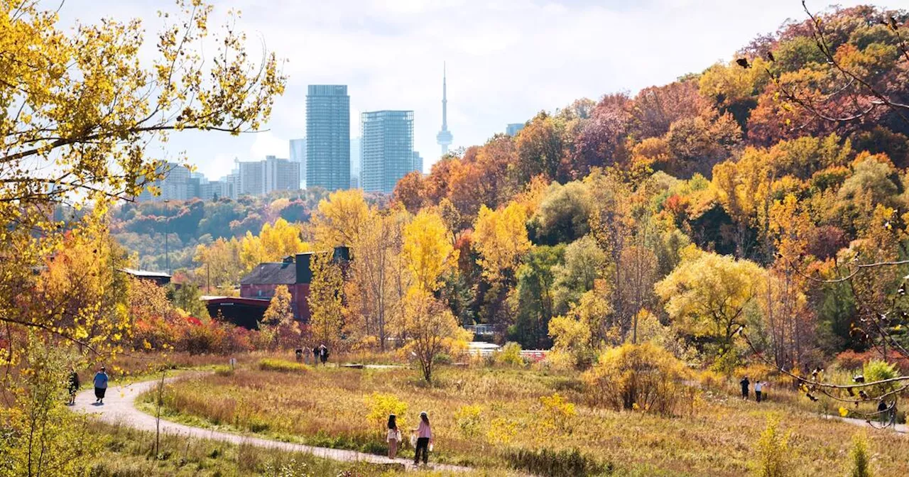 Ontario's fall forecast for 2024 has arrived and here's what to expect