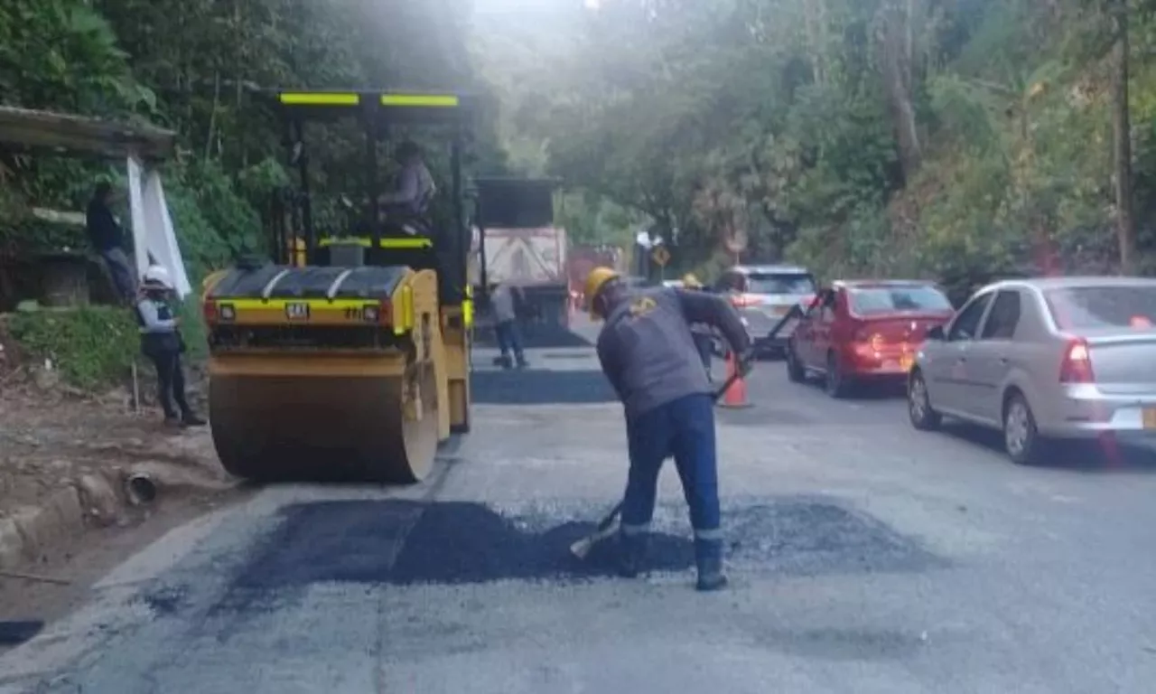 Por mal estado de la vía Medellín - Bogotá, las comunidades siembran árboles en la vía