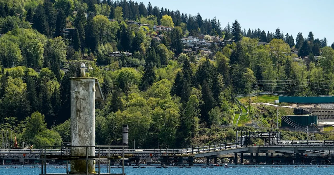 Trans Mountain pipeline weighs debt Deal ahead of potential sale