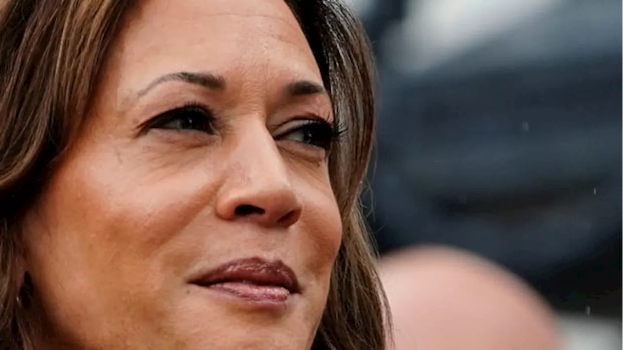 Democrats will rally behind Kamala Harris, says Nancy Pelosi's former chief-of-staff