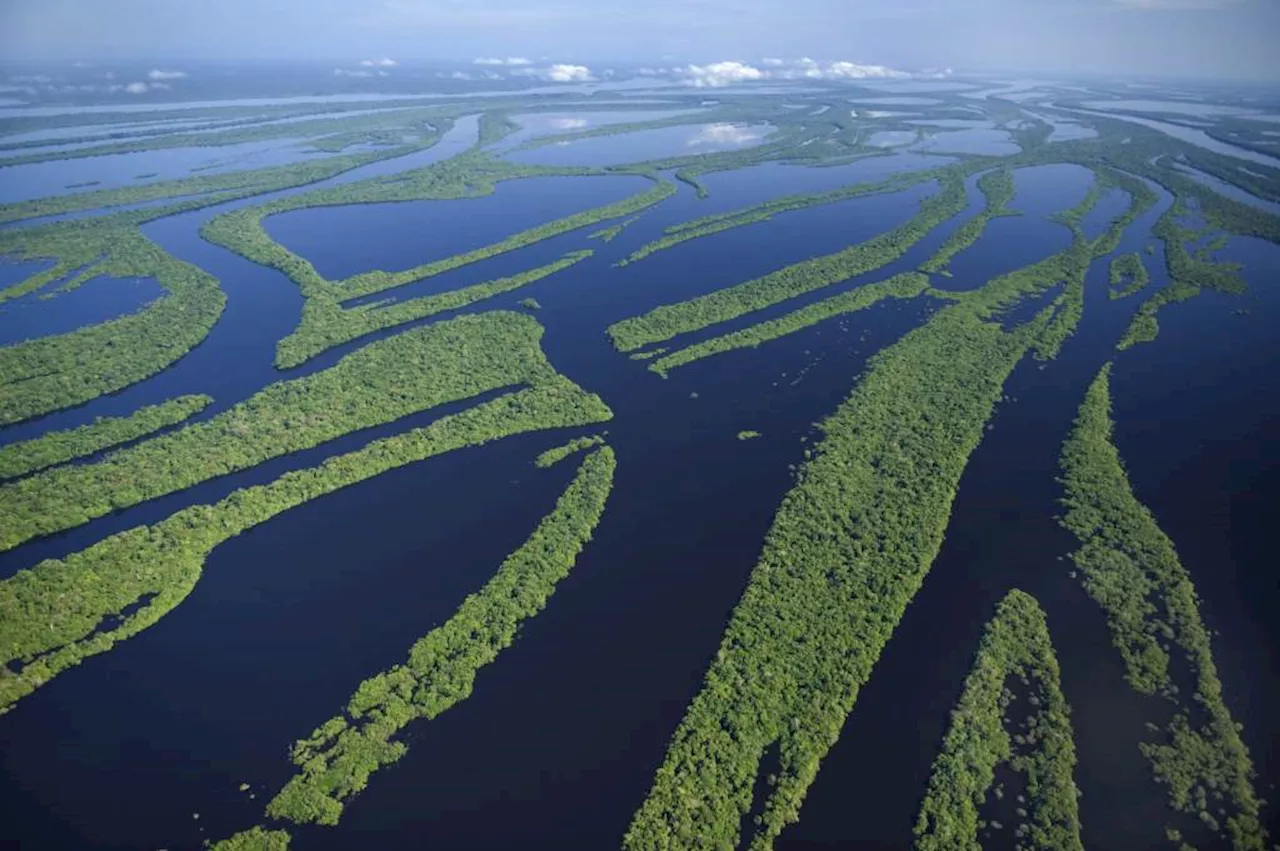 União Europeia anuncia 20 milhões de euros ao Fundo Amazônia