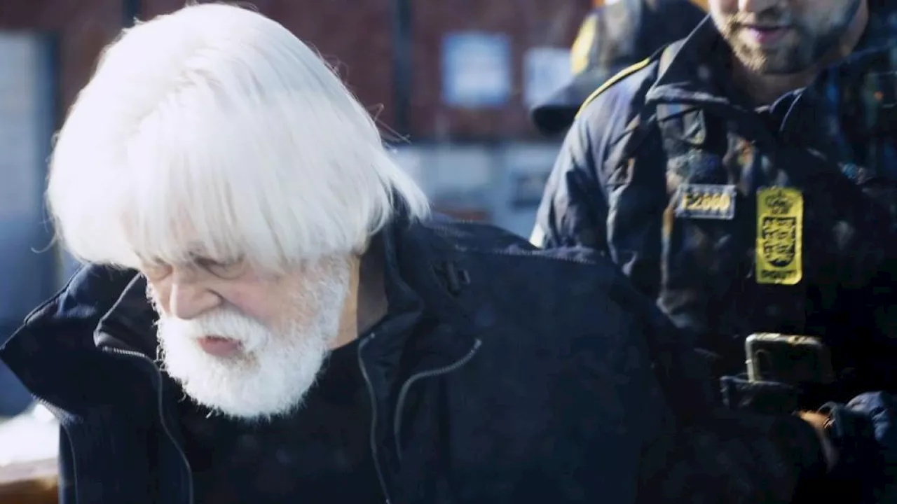 Paul Watson, il capitan Harlock dei mari, arrestato in Groenlandia. Stava partendo per una missione salva-balene