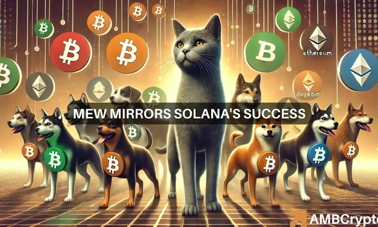 Why Solana’s MEW could be your top memecoin pick this week