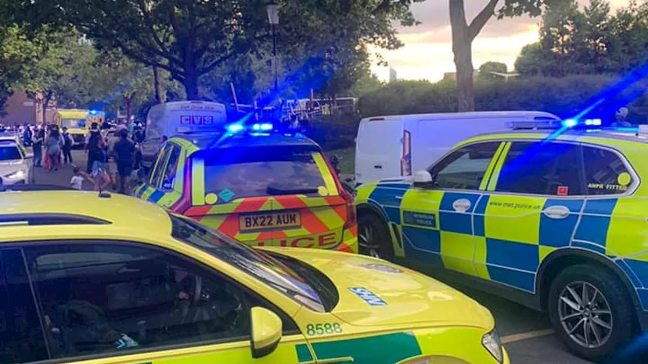 Boy, 15, is shot dead during pre-Carnival 'family fun day' at 'Teletubbies Park' in Notting Hill...