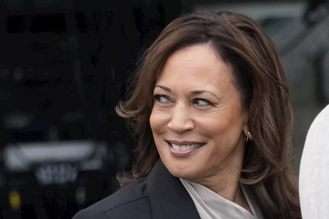 Trump sees win over Harris with help from black and Hispanic voters