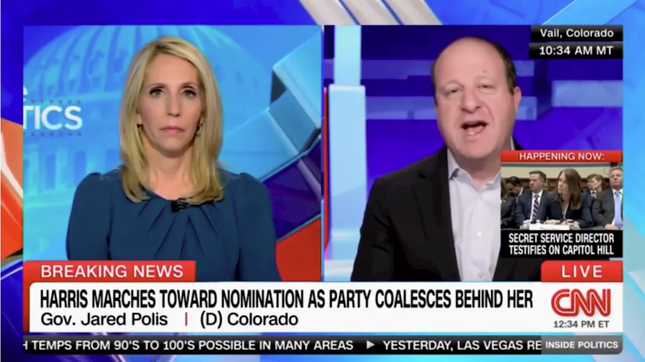 Polis Doubts He'll Be Kamala Harris's Running Mate — Suggests He's Too Bald, Gay and Jewish