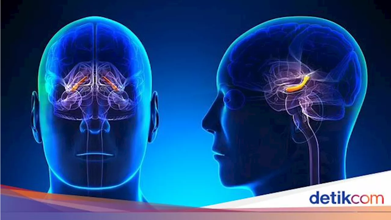 6 Cara Mengasah Otak agar Lebih Cerdas, Kamu Sudah Lakukan yang Mana?