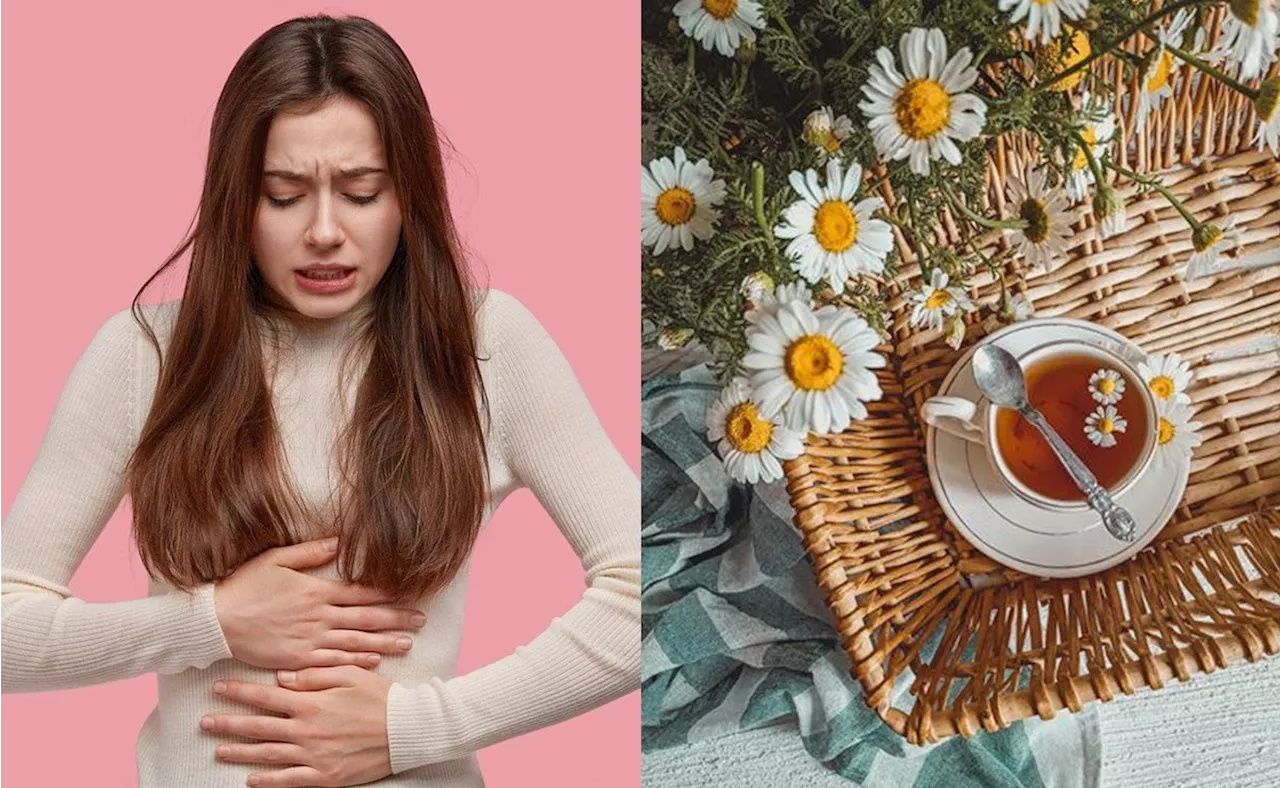 Descubre la planta que alivia los dolores menstruales y disminuye la ansiedad