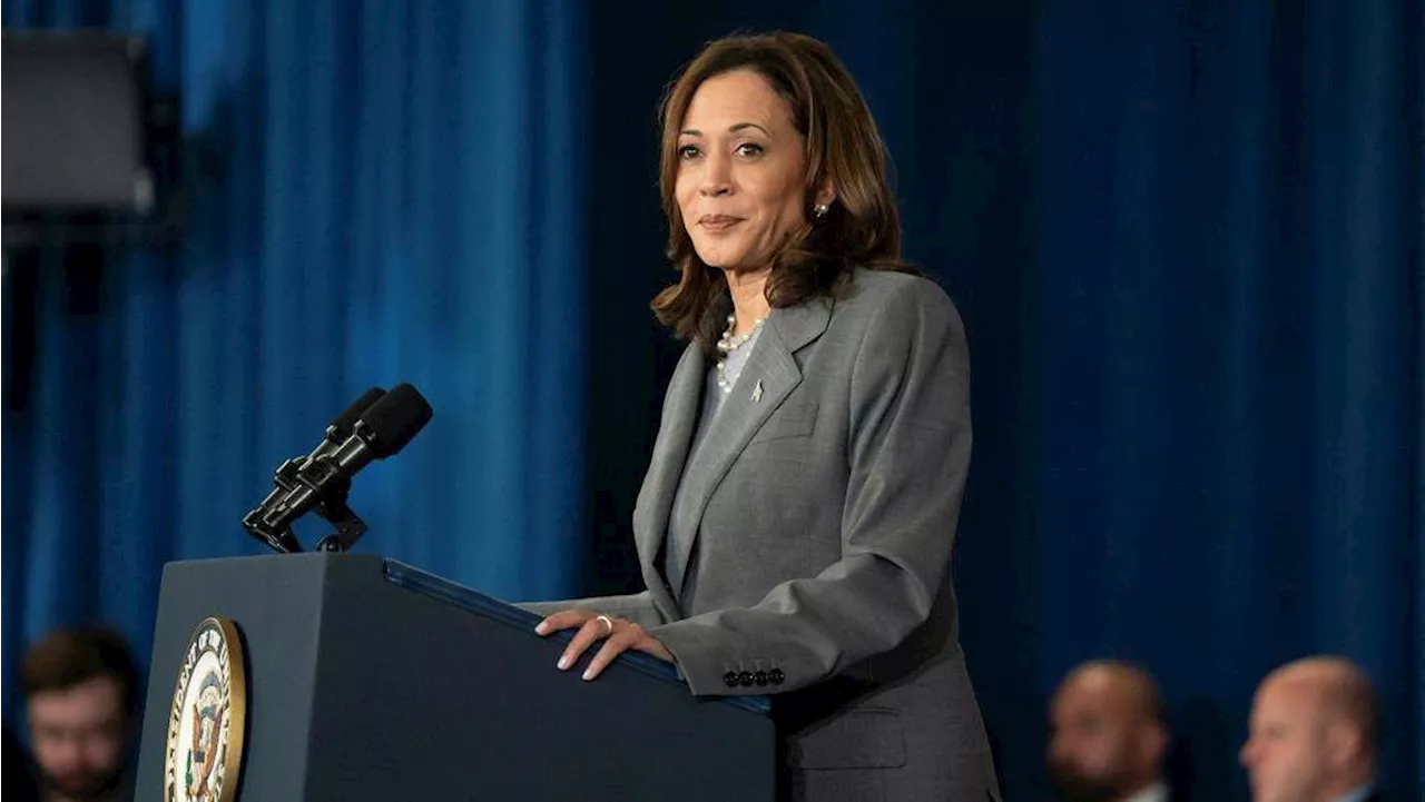 Kamala Harris: la historia de la vicepresidenta demócrata que quiere derrotar a Trump, ¿tiene posibilidades?