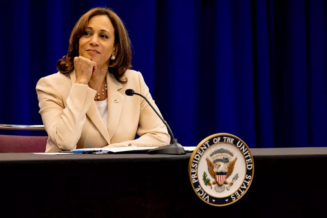 Kamala Harris Suma Apoyos De Peso En Su Camino Hacia La Designación ...