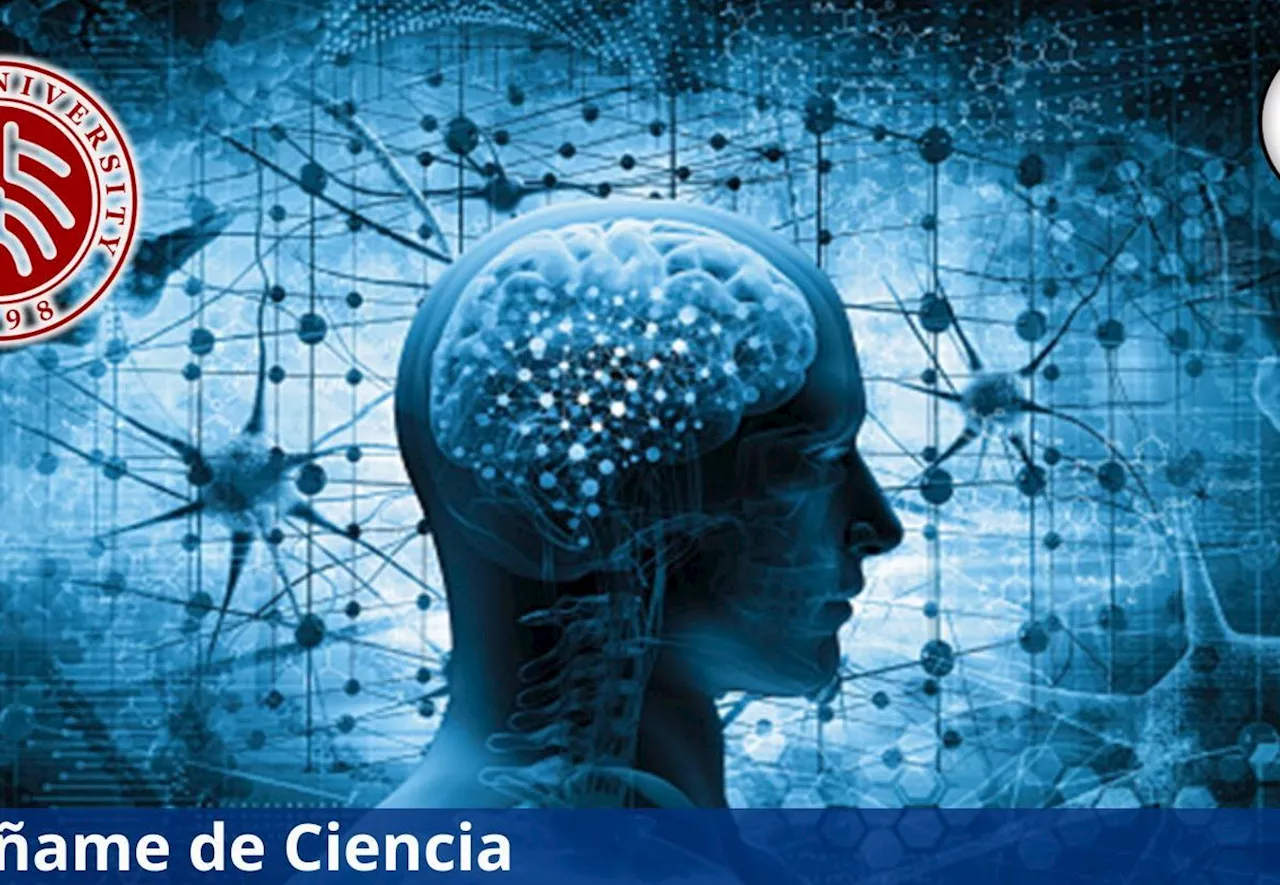 Aprende sobre NEUROBIOLOGÍA con el curso GRATIS y en línea que ofrece la Universidad de Pekín