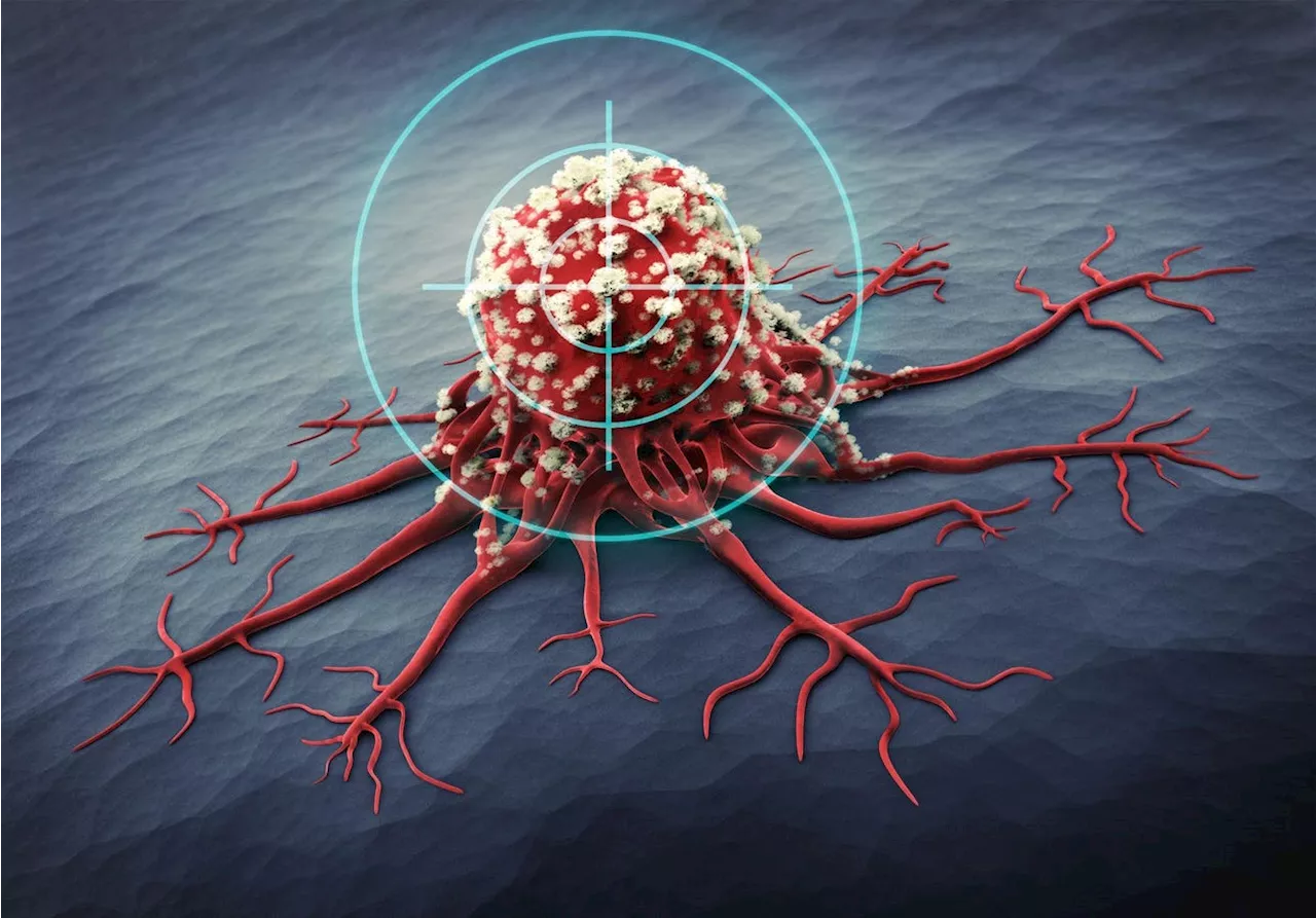 How Cancer Immunotherapy Checkpoint Inhibitors Work