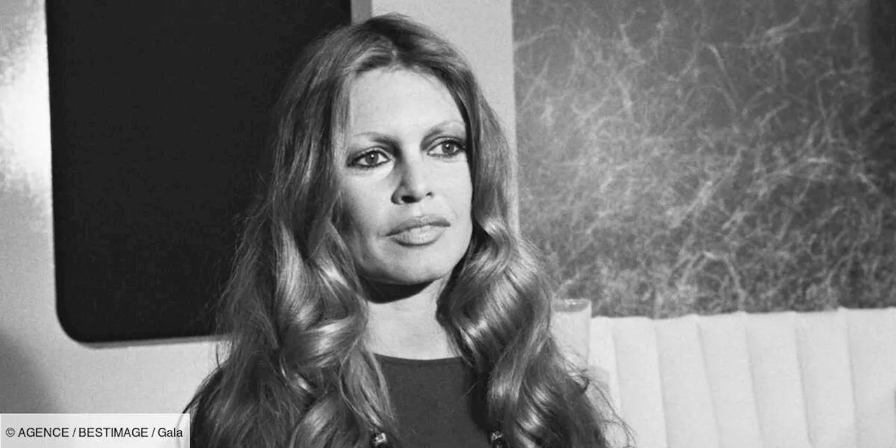 Brigitte Bardot : ce célèbre chanteur qui lui a fait oublier Jean-Louis Trintignant