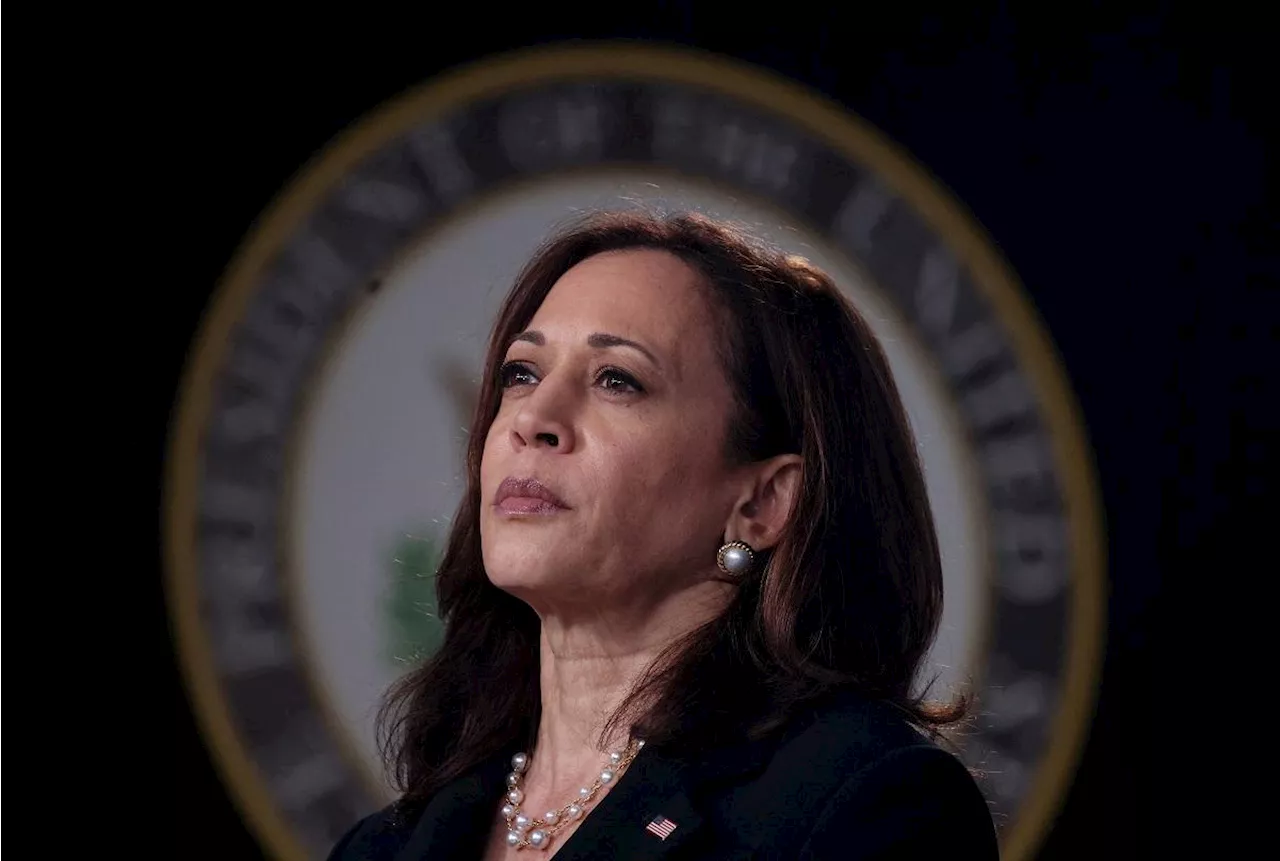 Democrats unite around Kamala Harris after Biden drops out