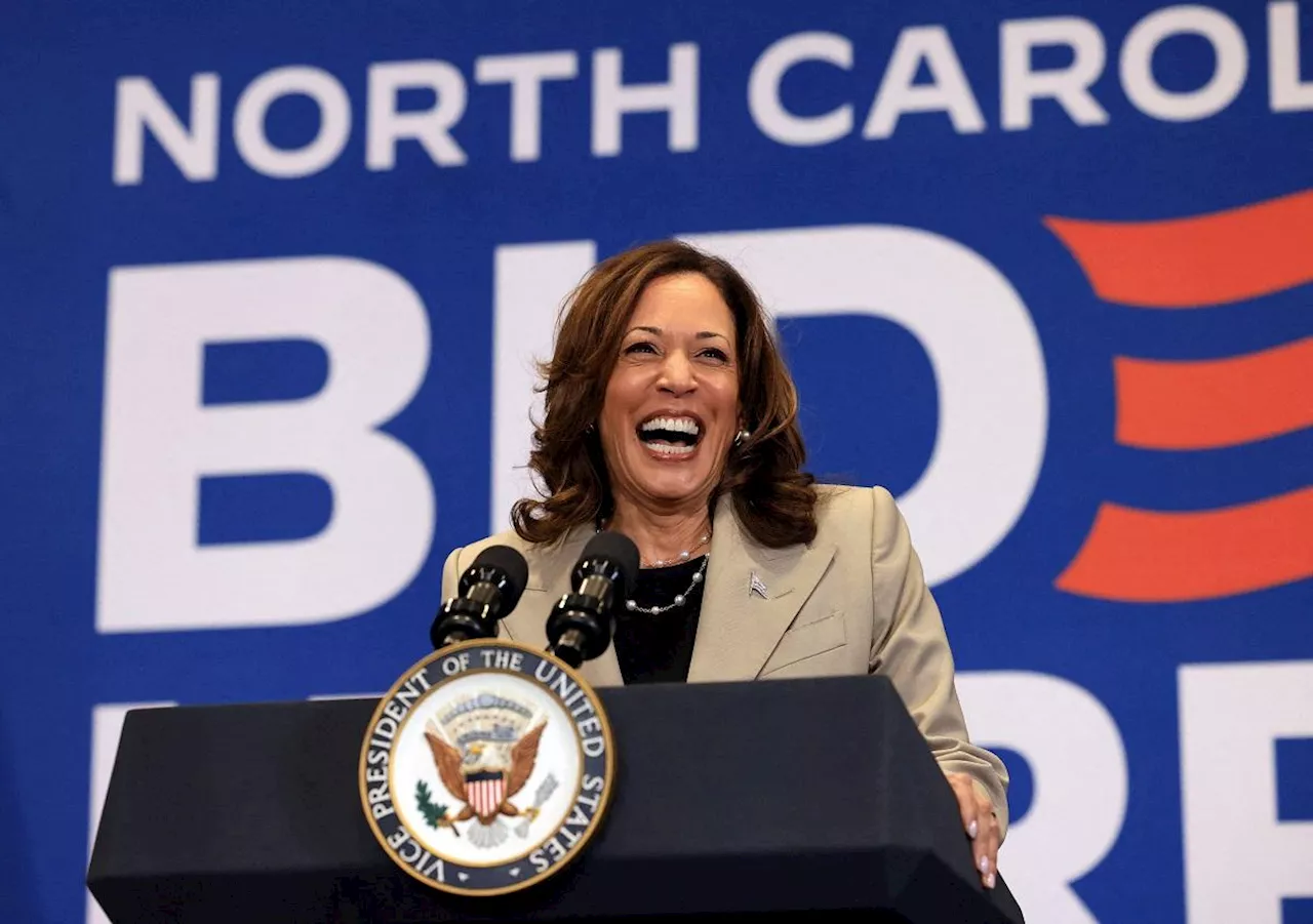 Many Democrats back Harris in 2024 race, but Pelosi, Obama silent