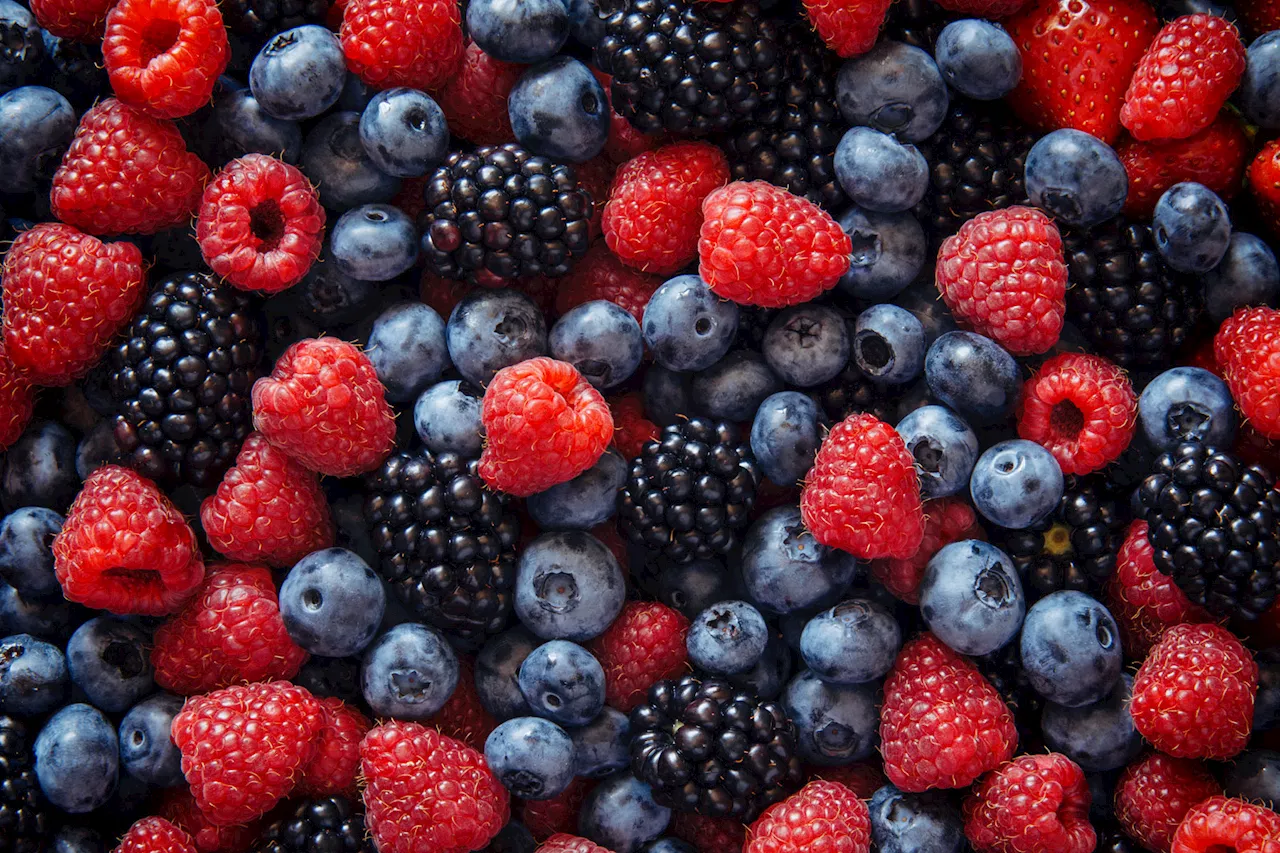 Schimmel vorbeugen: Mit diesem Trick bleiben Himbeeren, Brombeeren & Co. länger frisch