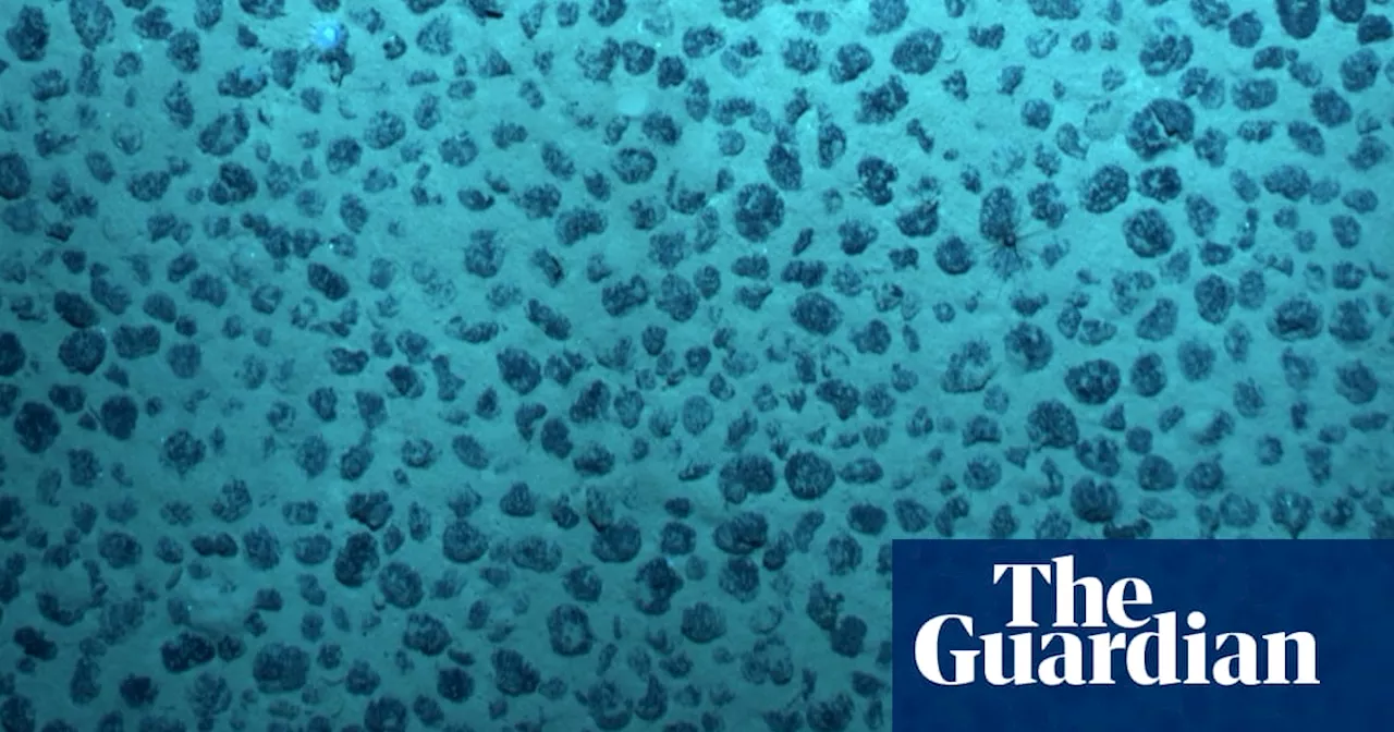 ‘Dark oxygen’ in depths of Pacific Ocean could force rethink about origins of life