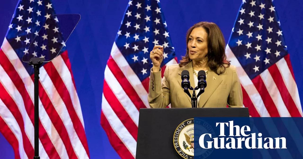 The pros and cons of Kamala Harris: a progressive reformer forced to run on Biden’s record