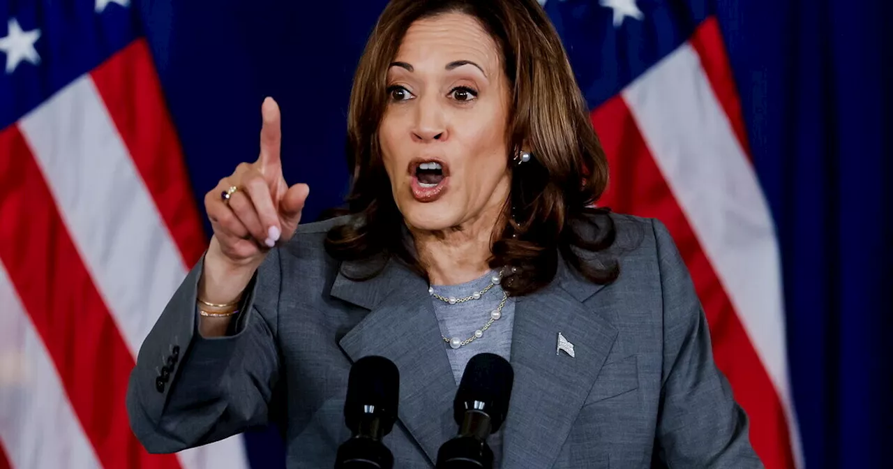 Negli Stati Uniti adesso è il momento di Kamala Harris